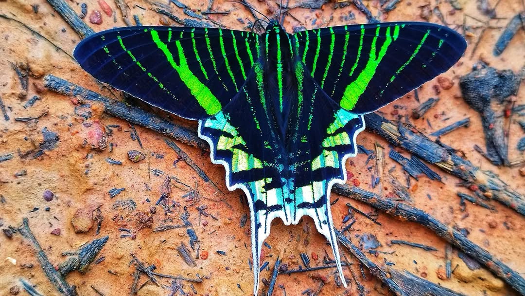 Imagen de WhatsApp 2025-05-20 a las 22.14.53_6e84c0bc